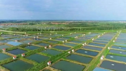 博兴县:5G+智慧渔业,水产养殖更高效